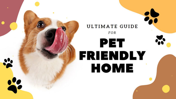 Ultimate Guide to Pet Friendly Home - WoofRoof