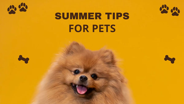 Summer Tips for Pets to keep them healthy